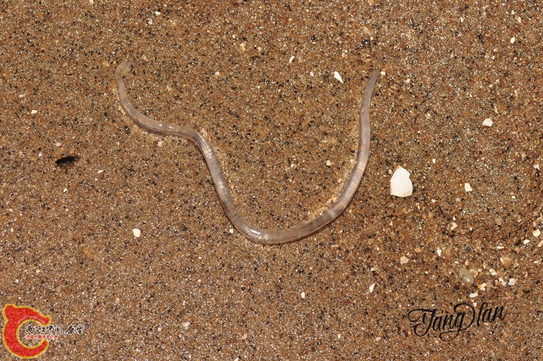 DSC_0610.jpg
