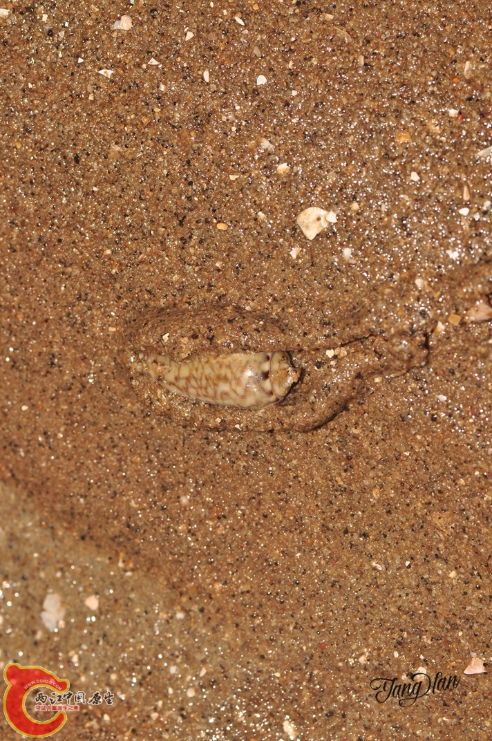 DSC_0620.jpg