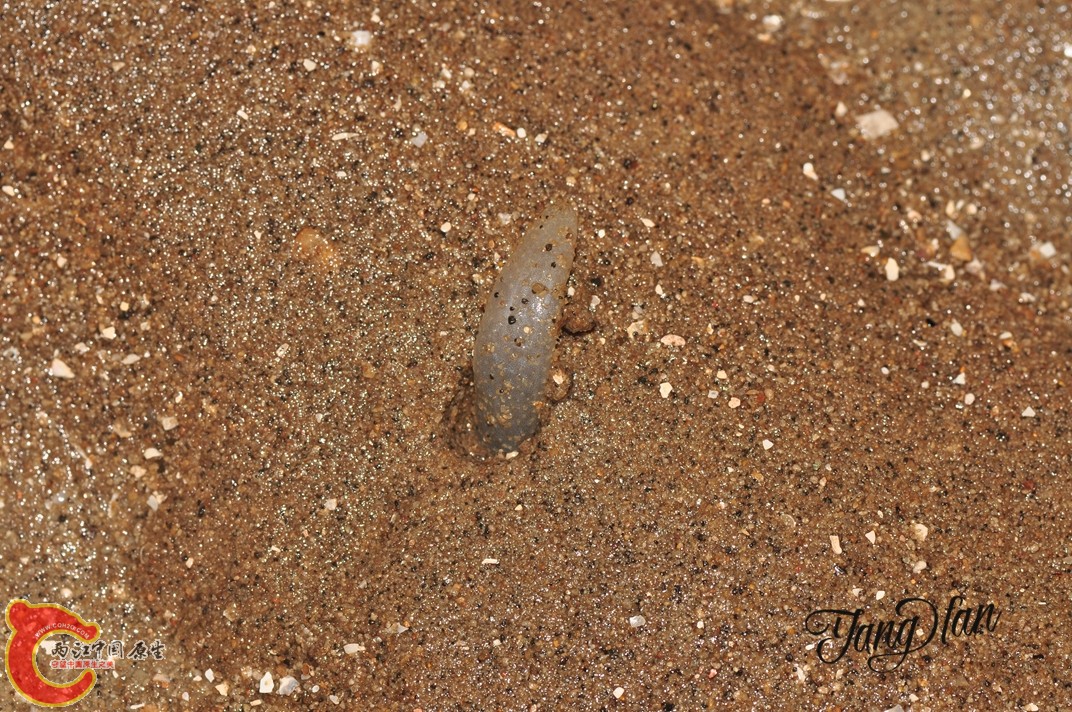 DSC_0616.jpg