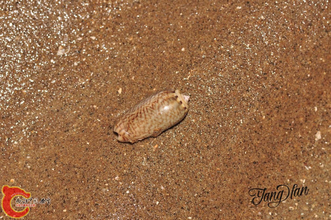DSC_0618.jpg