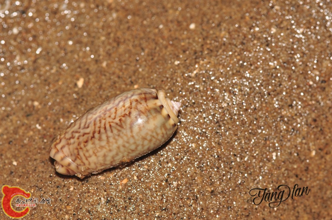 DSC_0619.jpg