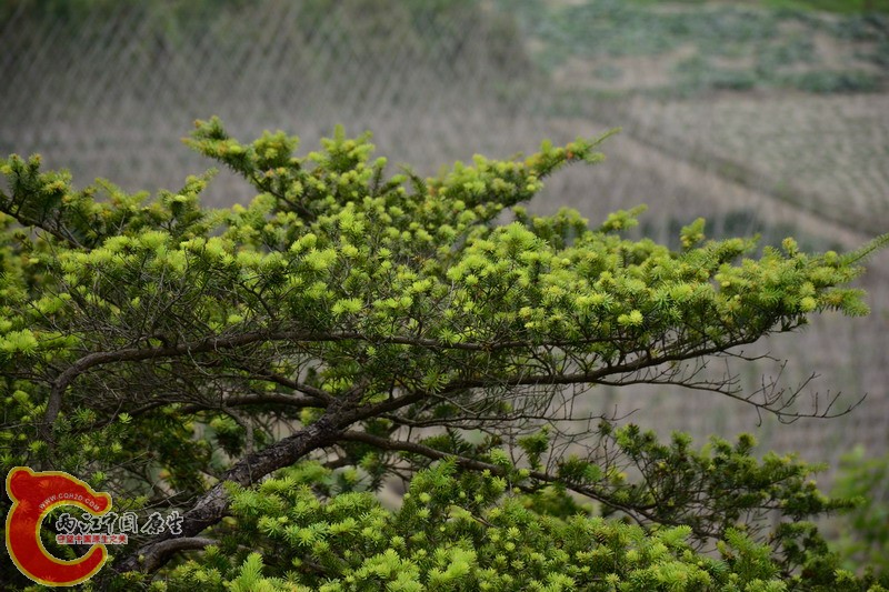 照片 241.jpg