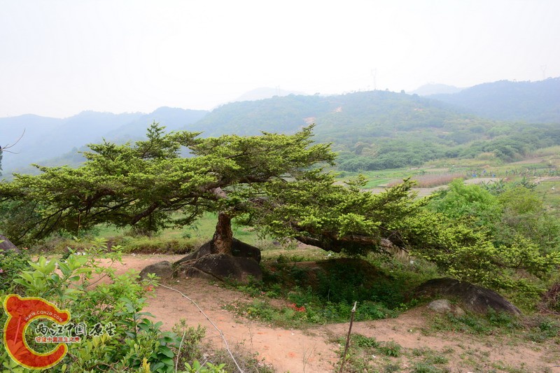 照片 250.jpg