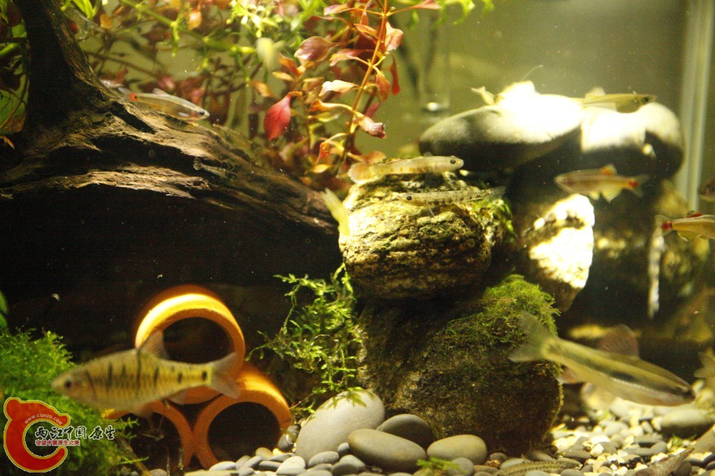 _MG_3863.jpg