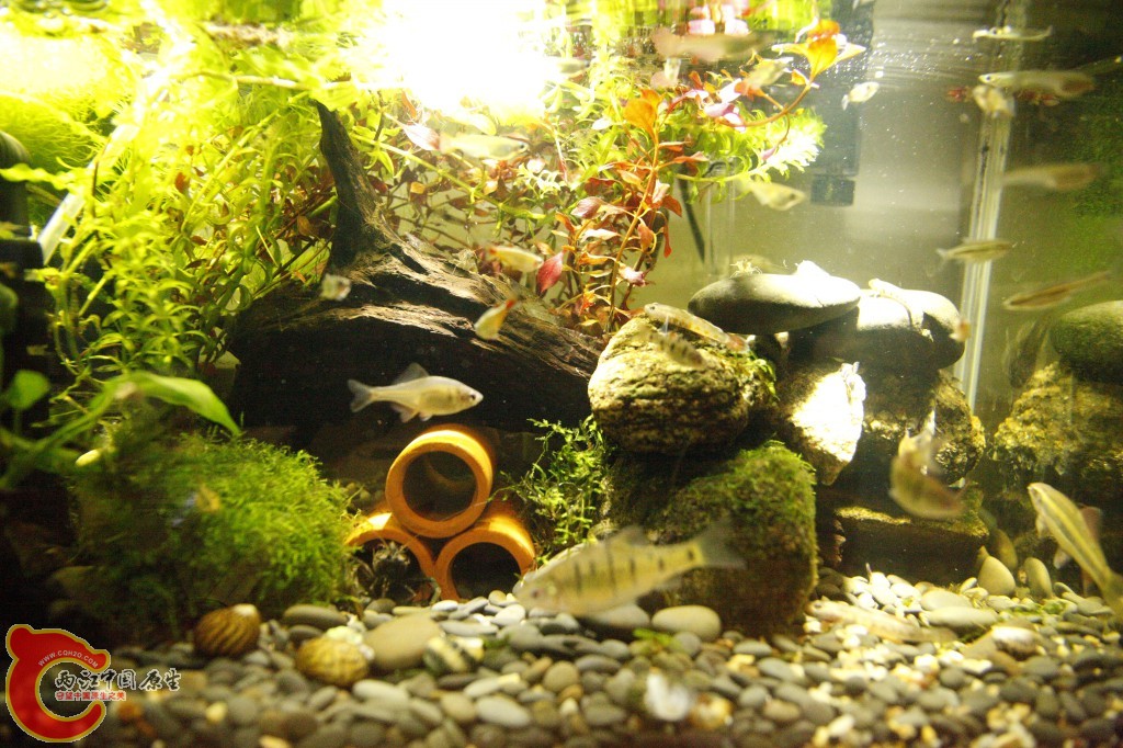 _MG_3870.jpg