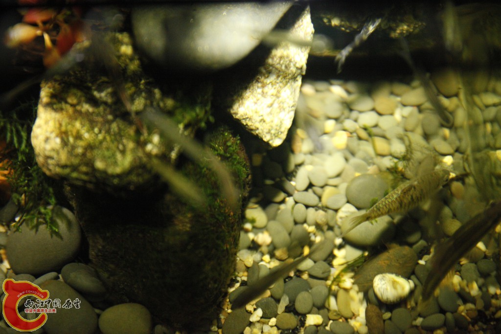 _MG_3881.jpg