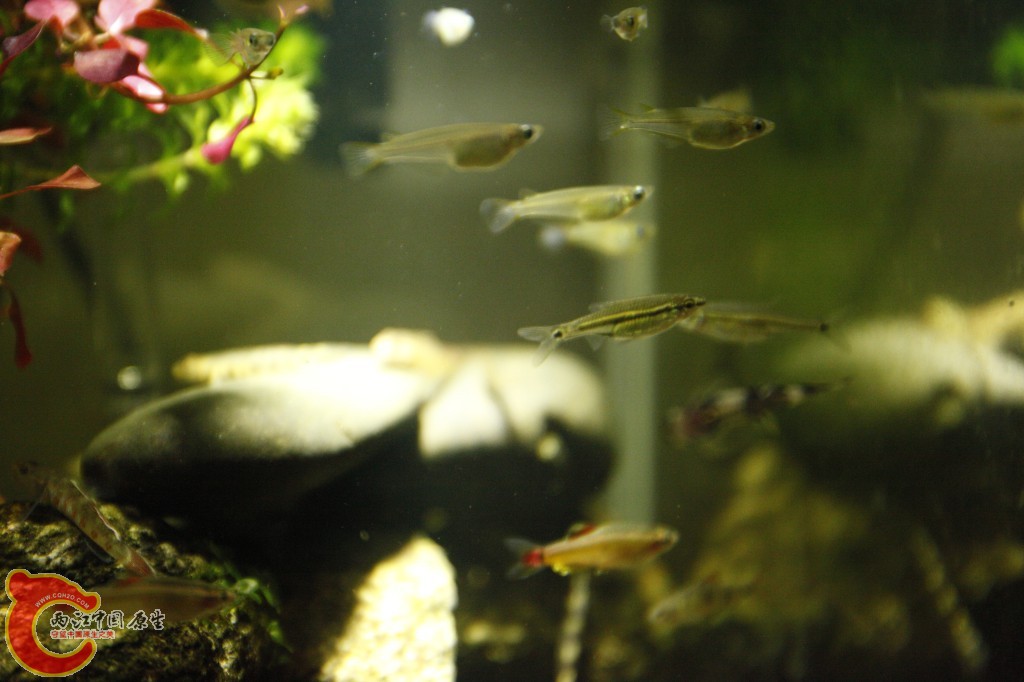 _MG_3885.jpg