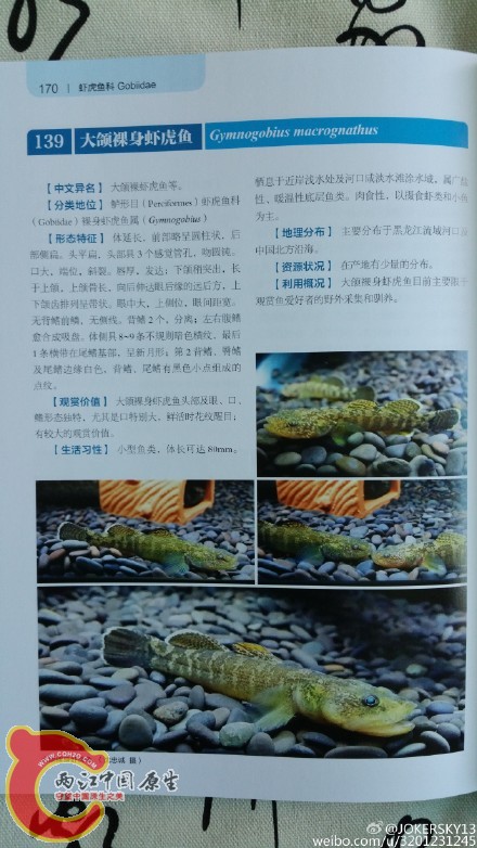 becee98djw1ereikzth3nj22b043k7wj.jpg