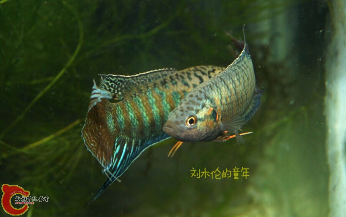 QQ图片20150422215956.jpg