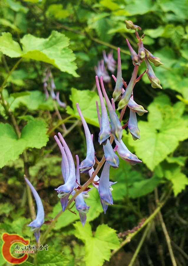 C360_2015-04-16-15-47-48.jpg
