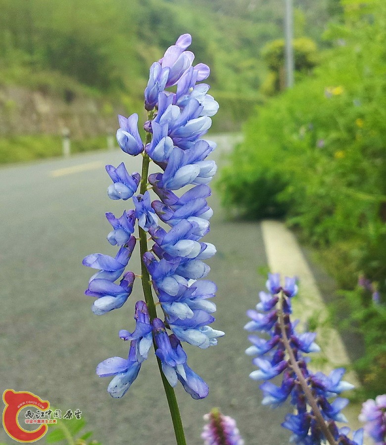 C360_2015-04-16-17-18-33.jpg