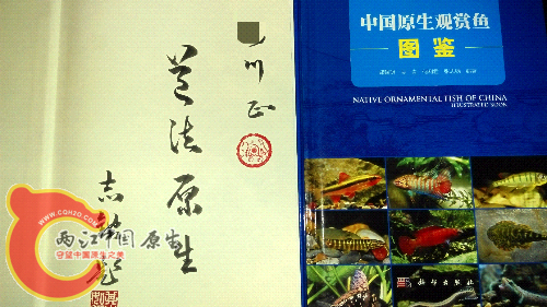 IMAG1646_mh1429731130900.jpg