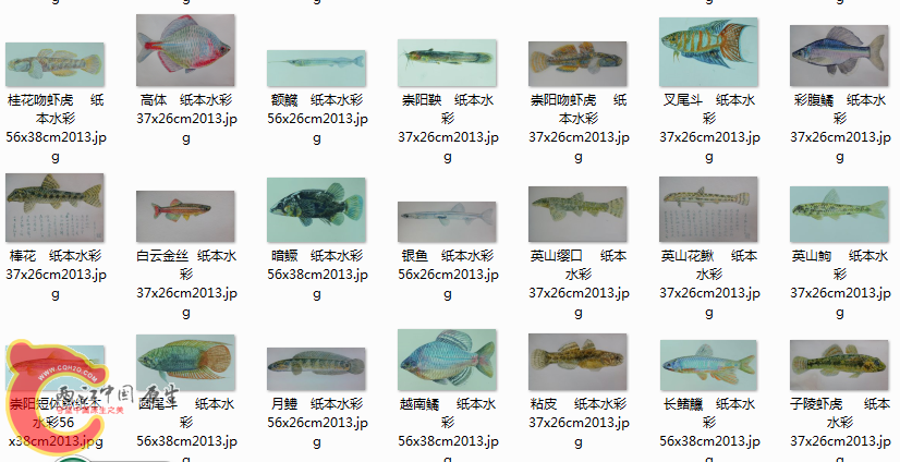 QQ图片20150423092121.png