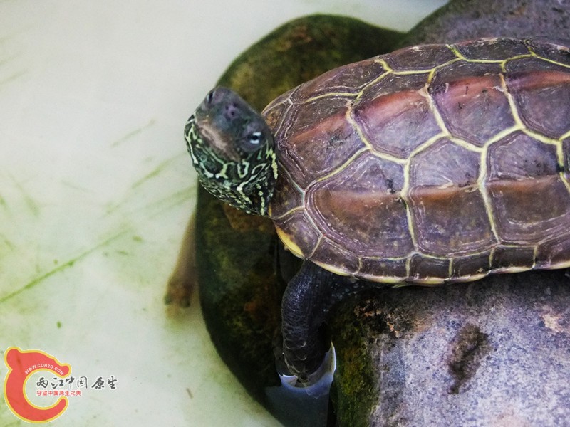 DSCF5153.JPG