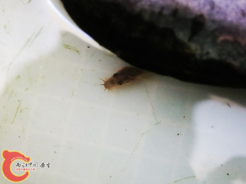 DSCF5165.JPG