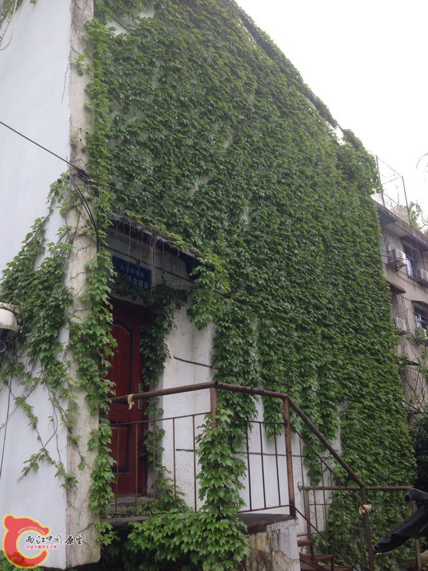 QQ图片20150423184827.jpg