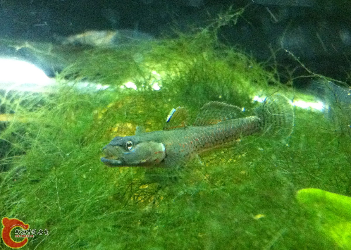IMG_6253.JPG