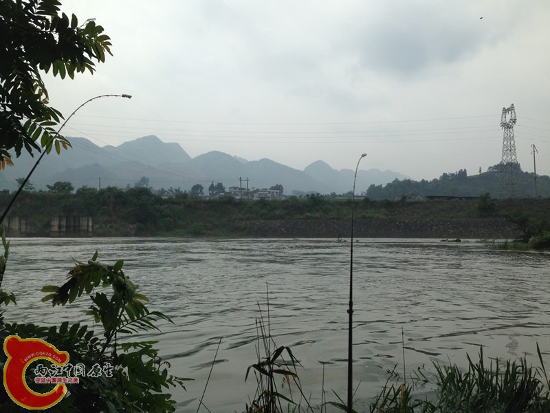 IMG_1041.jpg