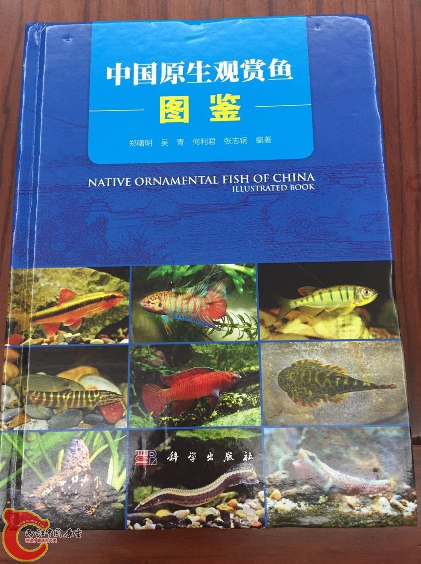 QQ图片20150427090346.jpg