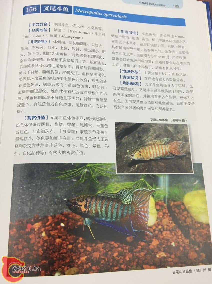 QQ图片20150427090402.jpg