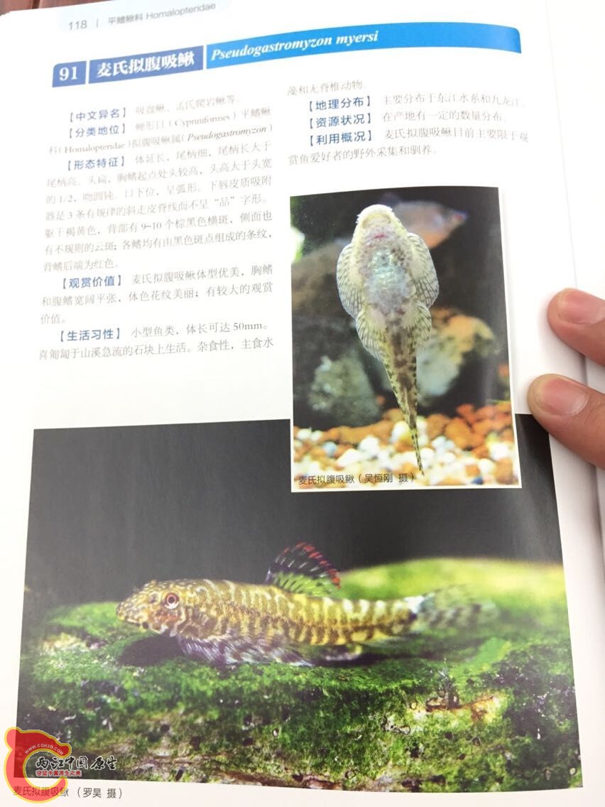 QQ图片20150427090355.jpg