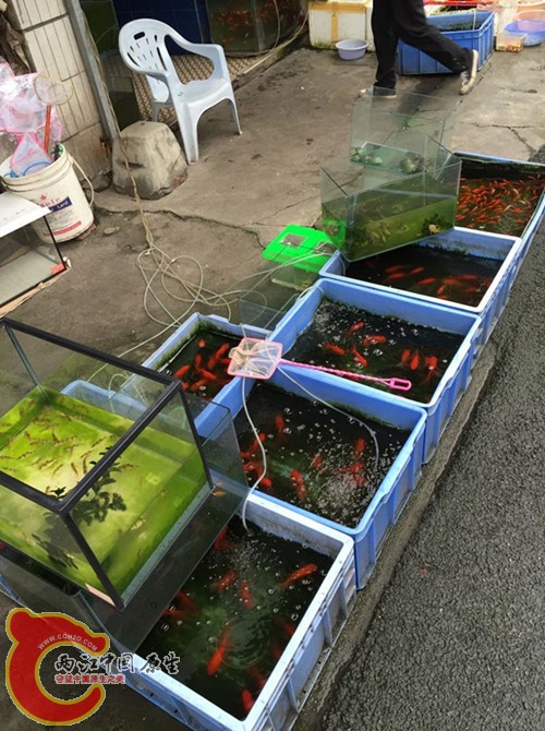 QQ图片20150427092720.jpg