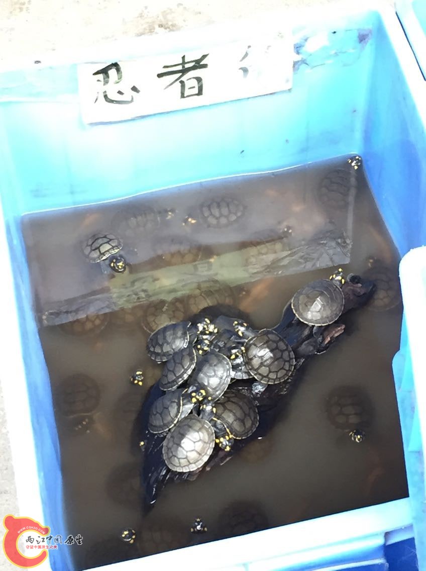 QQ图片20150427092731.jpg
