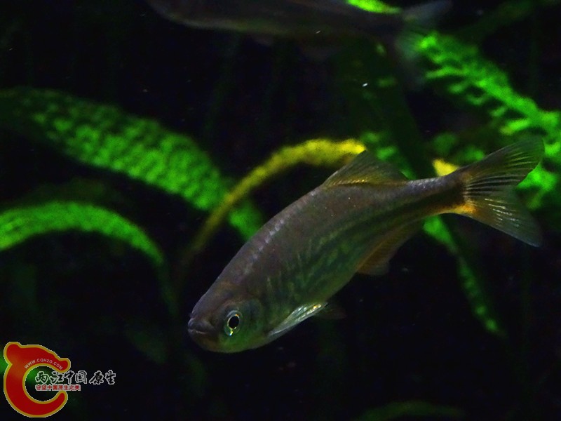 DSC00984_副本.jpg