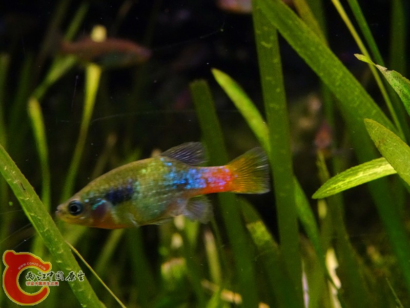 DSC01134_副本.jpg