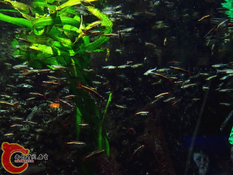 DSC01160_副本.jpg