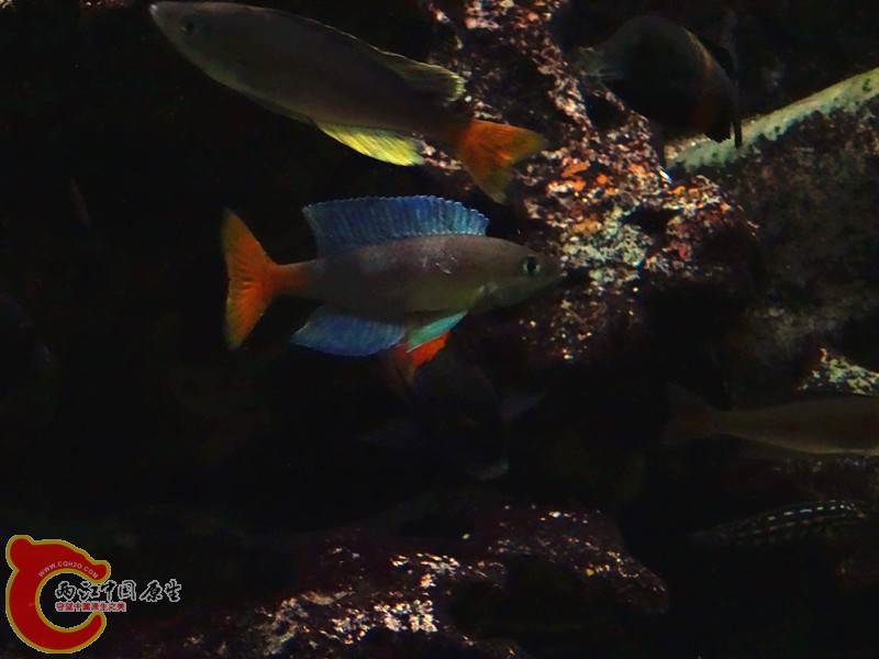 DSC01037_副本.jpg