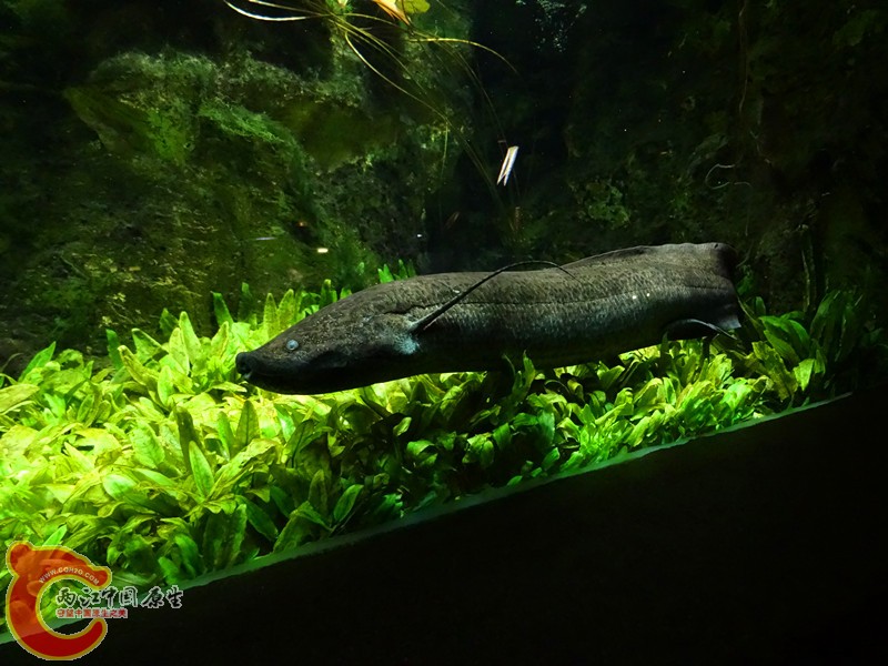 DSC01106_副本.jpg