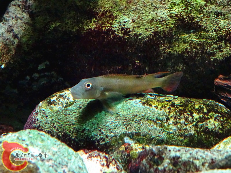 DSC01064_副本.jpg