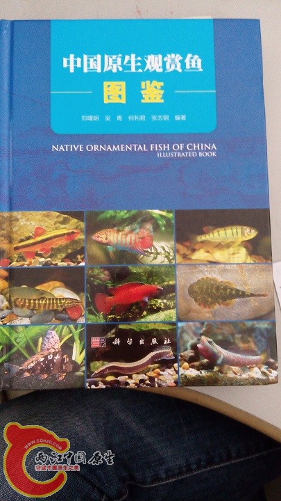 QQ图片20150429212809.jpg