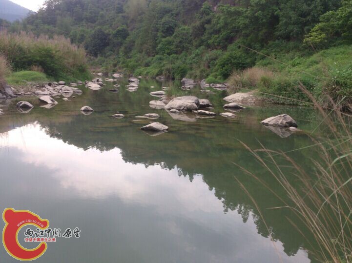 QQ图片20150430014449.jpg