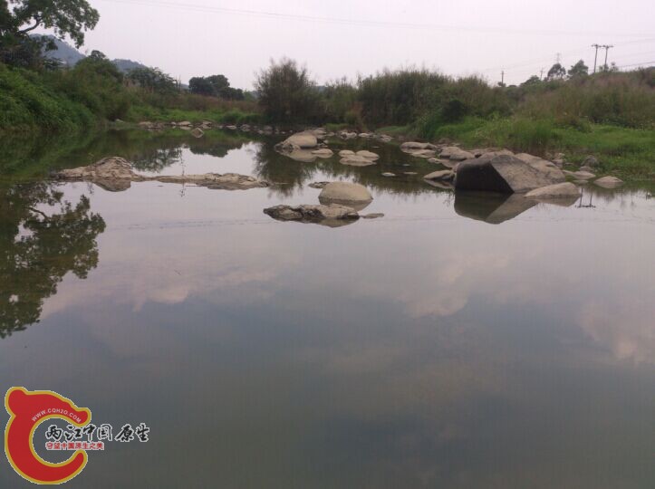 QQ图片20150430014459.jpg