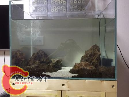 沙子石头随便摆的造型，沙子洗了2、3遍，过滤1小时候就干净不少