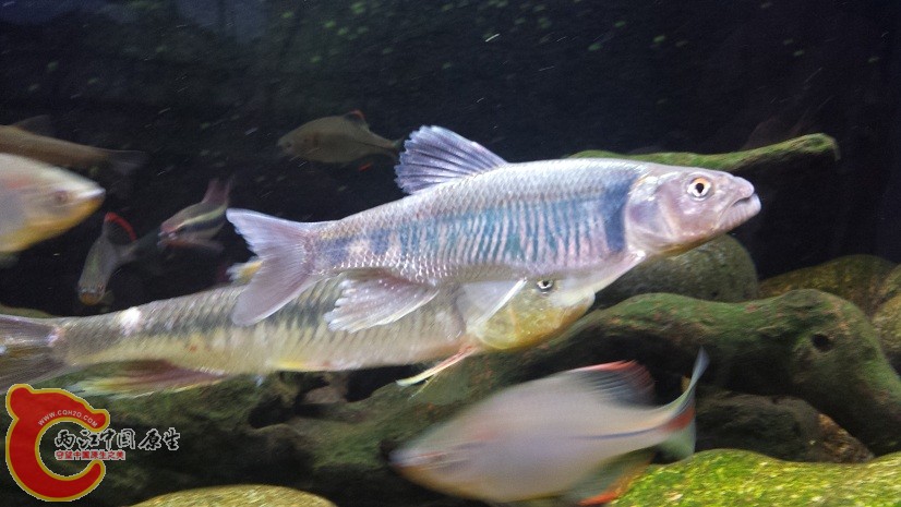 20150430_183931.jpg