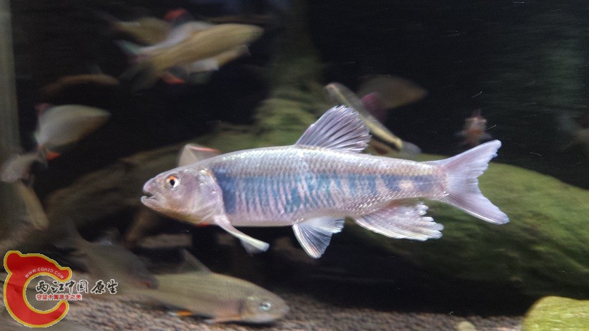 20150430_183934.jpg