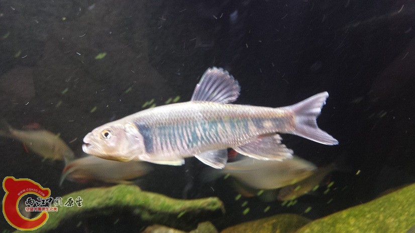 20150430_183953.jpg
