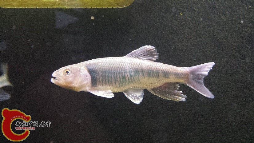 20150430_184017.jpg