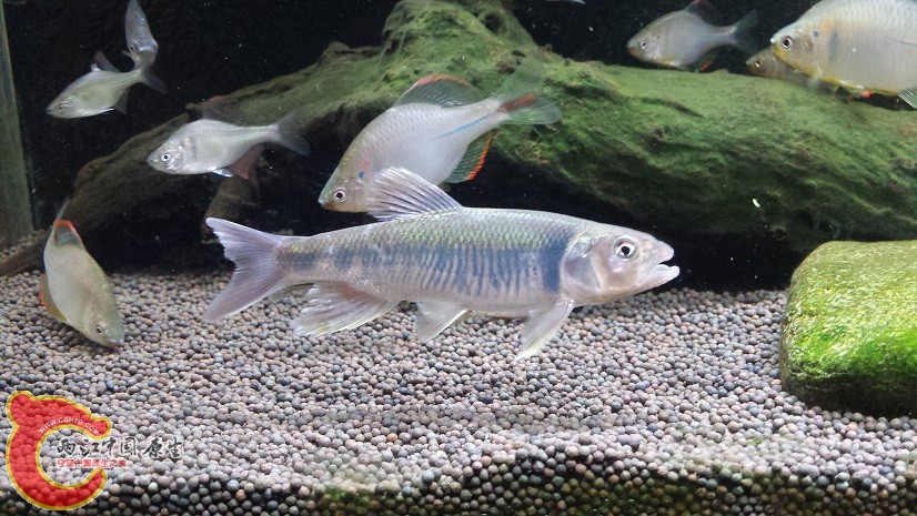20150430_222759.jpg