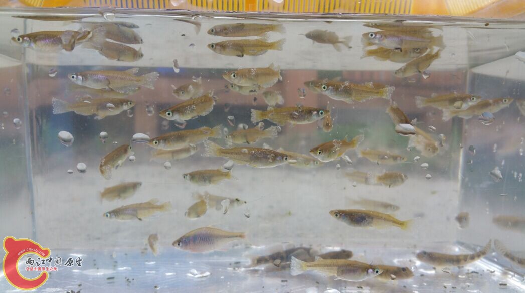 QQ图片20150502005011.jpg