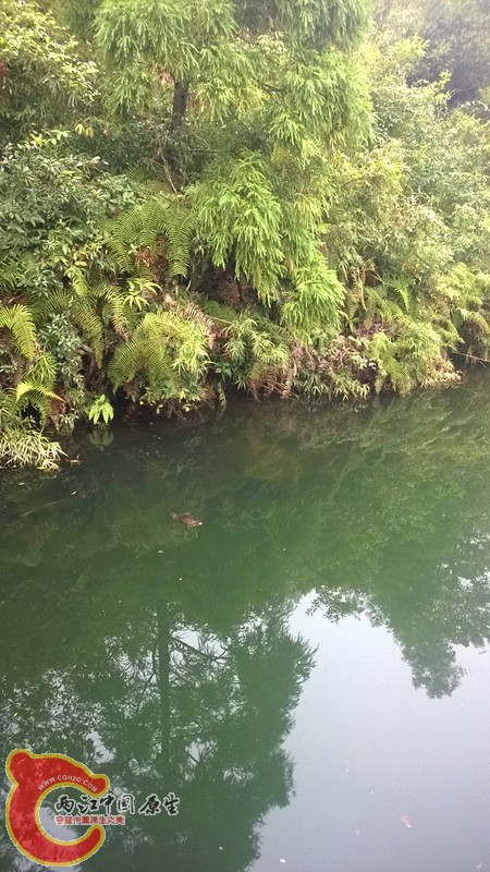 WP_20140919_011.jpg