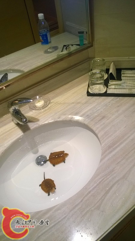 WP_20140920_016.jpg