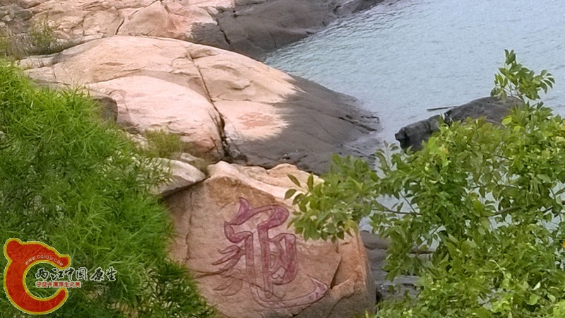 WP_20140921_015.jpg