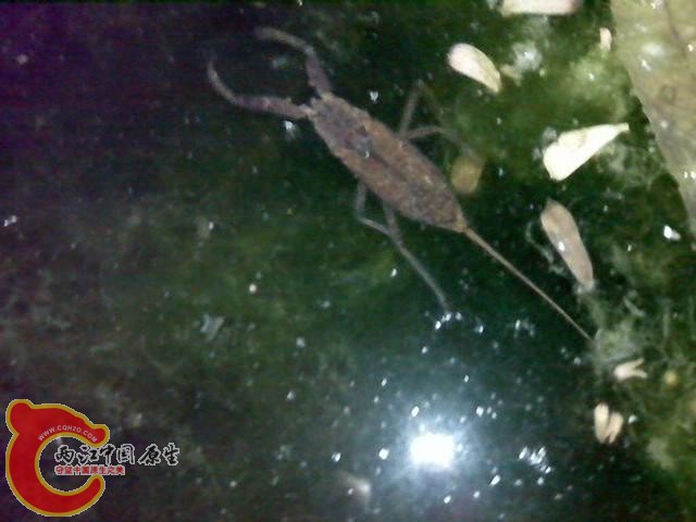 VID_20150425_195622_20155485911.JPG