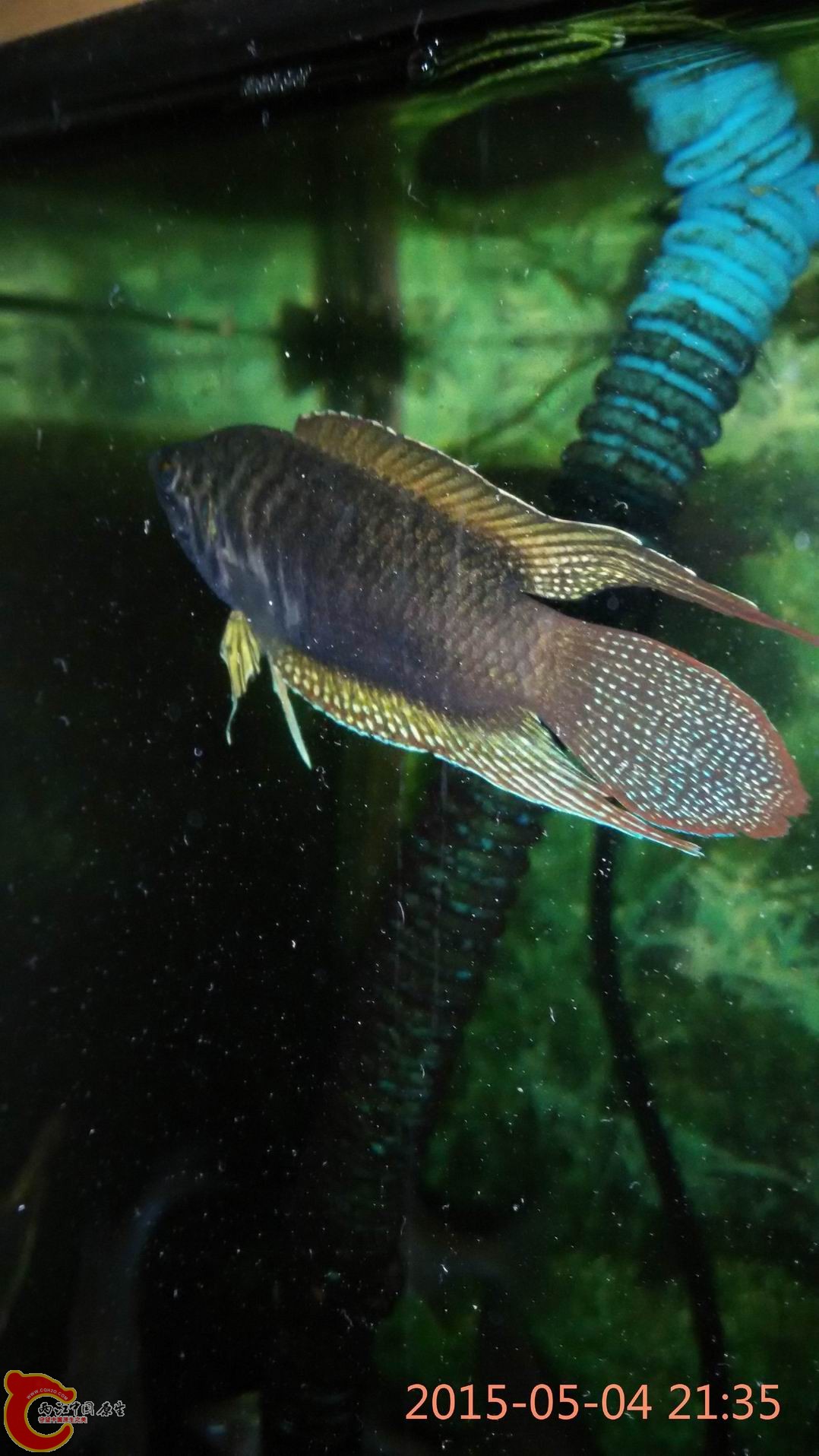 调整大小 调整大小 IMG_20150504_213529.jpg