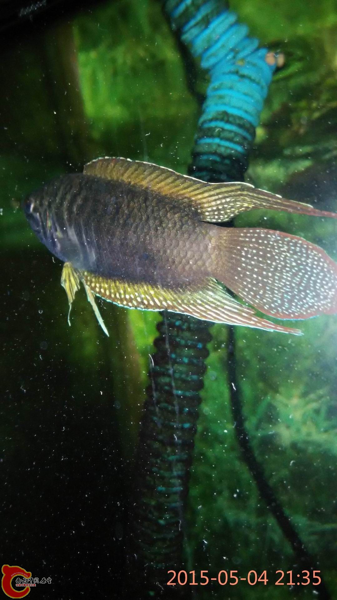 调整大小 调整大小 IMG_20150504_213538.jpg