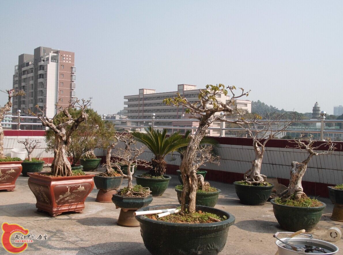 QQ图片20150507020704.jpg